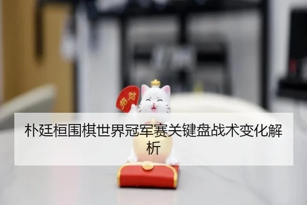 朴廷桓围棋世界冠军赛关键盘战术变化解析